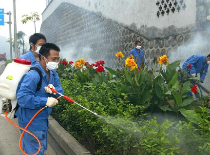 除四害消殺